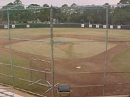 Jack Russell copy.jpg