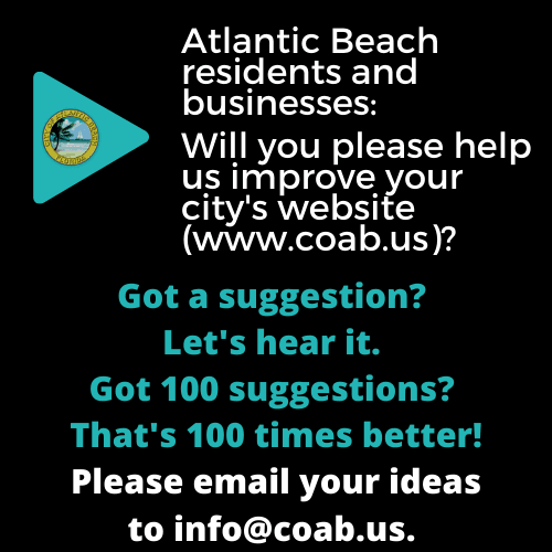 WebsiteImprovementProjectCitizenInputForNewsletter