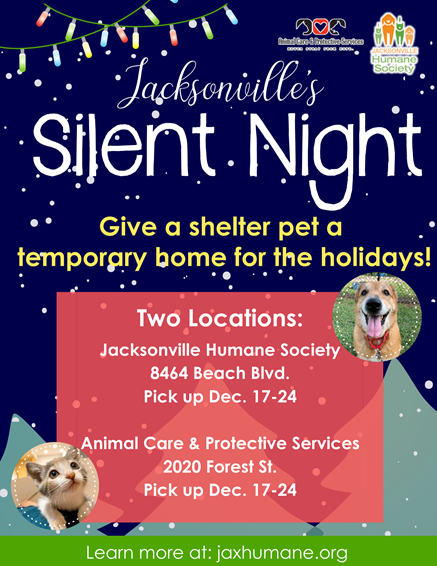 AnimalShelterChristmas2020